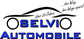 Logo Selvi Automobile